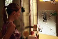 Dawson's Creek - 8 x 10 Color Photo #12