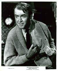 Dear Brigitte - 8 x 10 B&W Photo #28