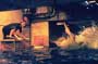 Deep Blue Sea - 8 x 10 Color Photo #1