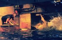 Deep Blue Sea - 8 x 10 Color Photo #1