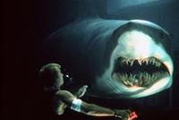 Deep Blue Sea - 8 x 10 Color Photo #3