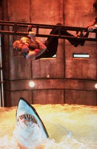 Deep Blue Sea - 8 x 10 Color Photo #4