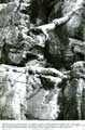 Deliverance - 8 x 10 B&W Photo #5