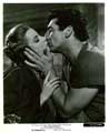 Demetrius and the Gladiators - 8 x 10 B&W Photo #11
