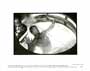 Demolition Man - 8 x 10 B&W Photo #1