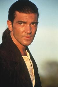 Desperado - 8 x 10 Color Photo #15