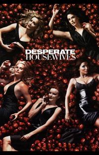 Desperate Housewives - 11 x 17 TV Poster - Style N