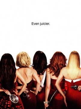 Desperate Housewives - 11 x 17 TV Poster - Style T