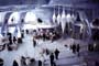 Die Another Day - 8 x 10 Color Photo #43