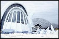 Die Another Day - 8 x 10 Color Photo #60
