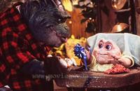 Dinosaurs - 8 x 10 Color Photo #3