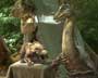 Dinotopia - 8 x 10 Color Photo #9