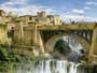 Dinotopia - 8 x 10 Color Photo #36