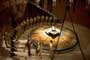 Dinotopia - 8 x 10 Color Photo #66