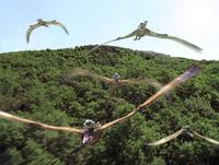 Dinotopia - 8 x 10 Color Photo #7
