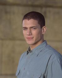 Dinotopia - 8 x 10 Color Photo #43