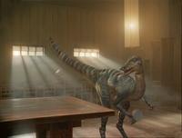 Dinotopia - 8 x 10 Color Photo #88