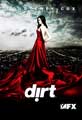 Dirt (TV) - 11 x 17 TV Poster - Style D