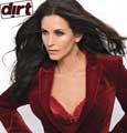 Dirt (TV) - 27 x 40 TV Poster - Style F