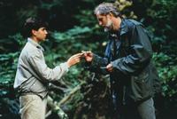 Distant Thunder - 8 x 10 Color Photo #5