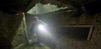 Disturbia - 8 x 10 Color Photo #12
