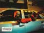 Dobermann - 8 x 10 Color Photo #3