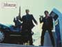 Dobermann - 8 x 10 Color Photo #5