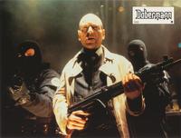Dobermann - 8 x 10 Color Photo #2