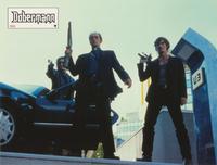 Dobermann - 8 x 10 Color Photo #5