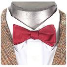 Doctor Who - Eleventh Doctor's Bow Tie