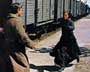 Doctor Zhivago - 8 x 10 Color Photo #1