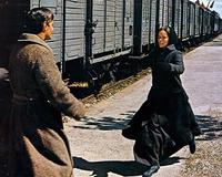 Doctor Zhivago - 8 x 10 Color Photo #1