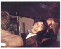 Dog Day Afternoon - 8 x 10 Color Photo #1