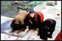 Dogma - 8 x 10 Color Photo #7