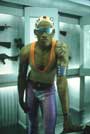 Double Team - 8 x 10 Color Photo #5