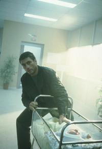 Double Team - 8 x 10 Color Photo #15