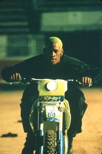Double Team - 8 x 10 Color Photo #16