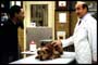 Dr. Dolittle - 8 x 10 Color Photo #10