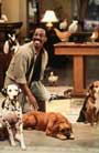 Dr. Dolittle - 8 x 10 Color Photo #52