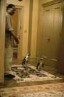 Dr. Dolittle - 8 x 10 Color Photo #17