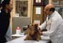 Dr. Dolittle - 8 x 10 Color Photo #23