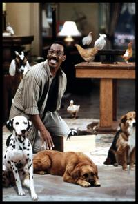 Dr. Dolittle - 8 x 10 Color Photo #3