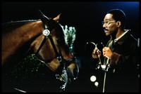 Dr. Dolittle - 8 x 10 Color Photo #4