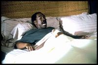 Dr. Dolittle - 8 x 10 Color Photo #5