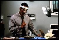 Dr. Dolittle - 8 x 10 Color Photo #8