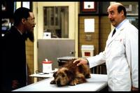 Dr. Dolittle - 8 x 10 Color Photo #10