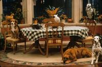 Dr. Dolittle - 8 x 10 Color Photo #13