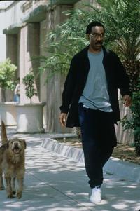 Dr. Dolittle - 8 x 10 Color Photo #14