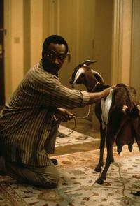 Dr. Dolittle - 8 x 10 Color Photo #15
