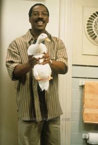 Dr. Dolittle - 8 x 10 Color Photo #16